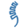 clariance-spine.com