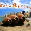 cocobreeze.net