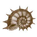 kaelte-klima-solar.de