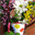 maybaskets.org