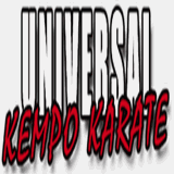 coloradospringskidskarate.com