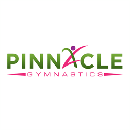 pinngym.com