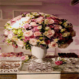 chancellorlantana.com