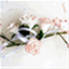 elegantrosecakes.com