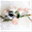 elegantrosecakes.com