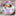 therosetintedjesses.net