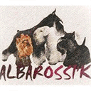 albarossik.onbb.ru