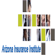 arizonainsuranceinstitute.com