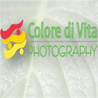 coloredivita.com