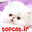 topcat.ir