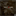 feenix504.bandcamp.com