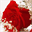 muttertagsbrunch.ch