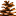 tapash.org