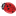 unghieladybug.it