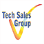 techsalesgroup.es