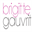 brigitte-gauvrit.com