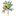 finkenweghort.bornemann-netz.de