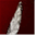 dropsofeverything.wordpress.com