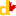 signadnetwork.com