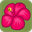 ancienthawaiianhealings.com
