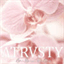 atrvsty.bandcamp.com