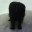 extratextual.wordpress.com
