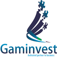 gaminvestcostruzioni.it.gg