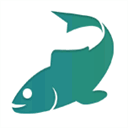 bookfish.net.au