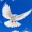 eltabernaculodereunion.org