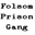 thefolsomprisongang.com