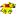 cecr.net