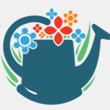 brillianthealthylife.com