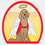 canineangelsusa.org