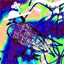 cours-glaner.over-blog.com