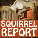 podcast.friendsofsquirrels.org