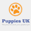 puppies.co.uk