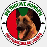 dev.metrocomia.co.ke
