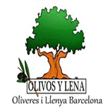 oliveresillenyabarcelona.com
