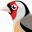 faunaautoctona.com