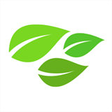 chinesegroenethee.nl