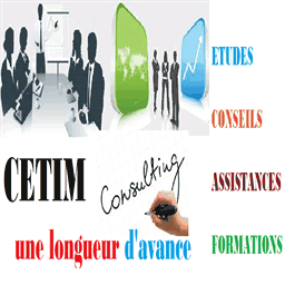 cetimconsulting.com