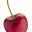 behealthybebalanced.wordpress.com