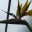 elizabethstott.wordpress.com