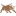 askivy.net