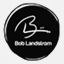 boblandstrom.com