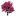 jacarandaconsulting.com