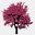 jacarandaconsulting.com