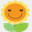 sunflowerclub.com.cn