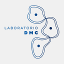 laboratoriodmg.com