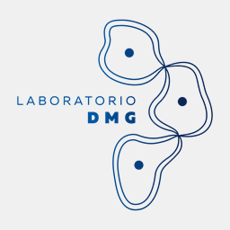 laboratoriodmg.com